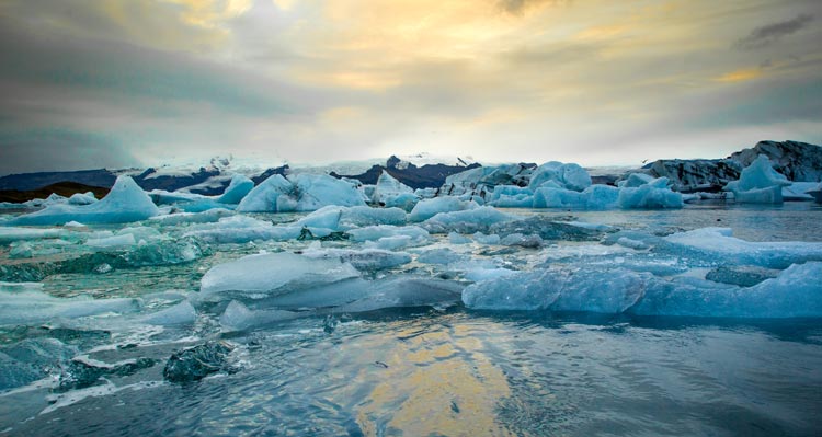 A series of broken ice pieces float at the sea edge.