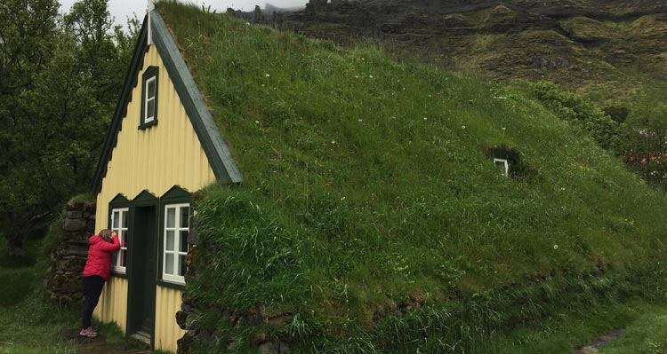 A person looks into a yellow, turf-roofed building.