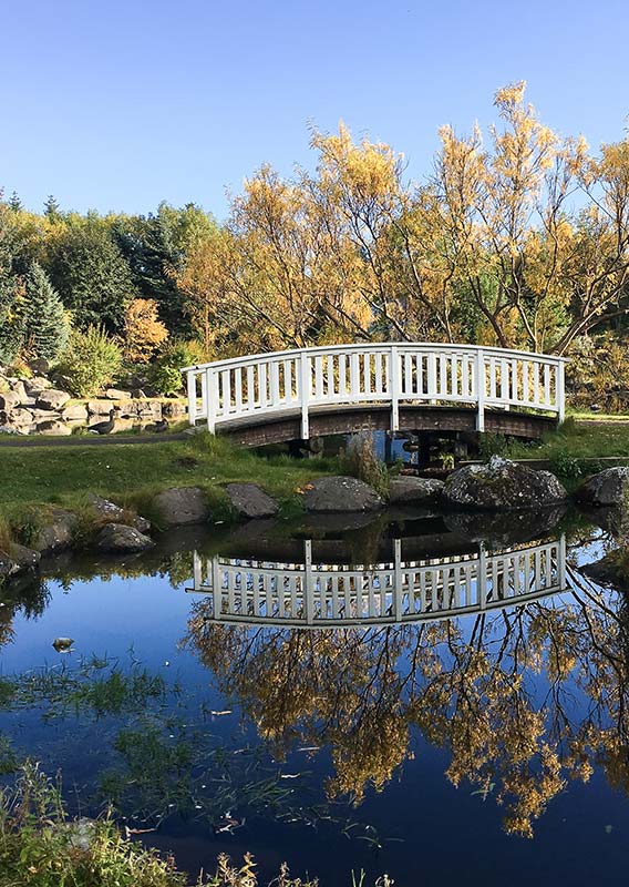 A small footbridge goes over a garden pond.